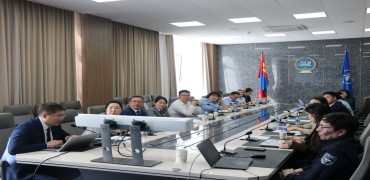 ИМПОРТЫН ХҮНСНИЙ ШИНЖИЛГЭЭНИЙ ДҮНГ ЦАХИМЖУУЛАХ ЧИГЛЭЛЭЭР БАЙГУУЛЛАГУУД САНАЛ НЭГДЛЭЭ